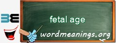 WordMeaning blackboard for fetal age